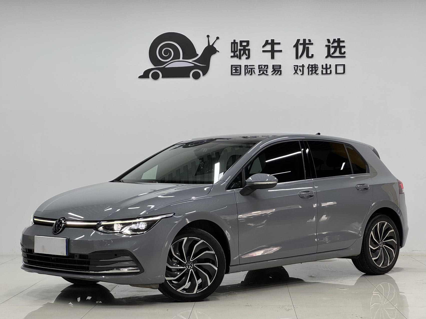 Volkswagen Golf 2022 car image 