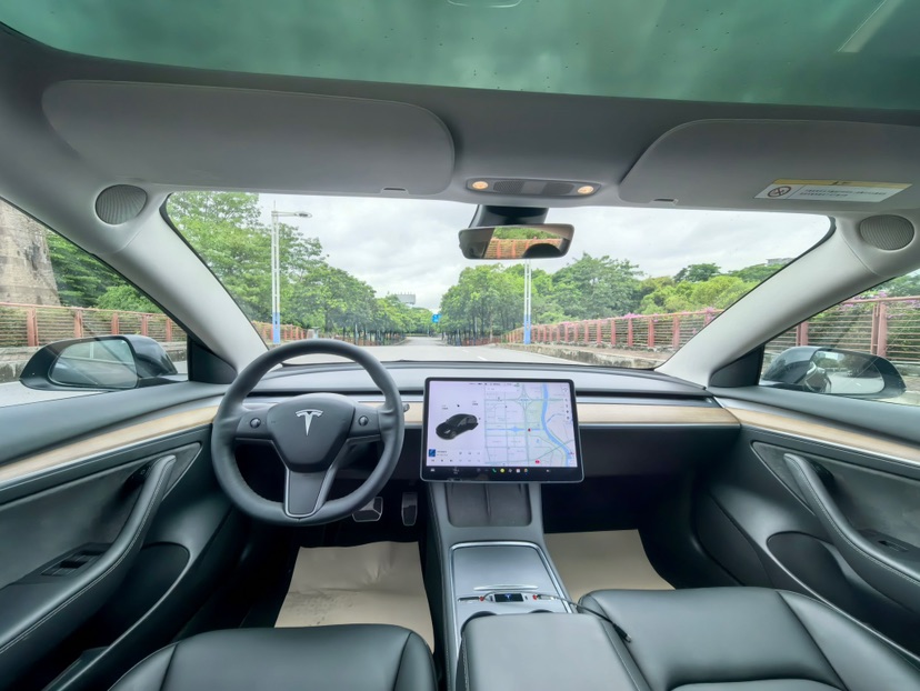 Tesla Model 3 2021 car image #6