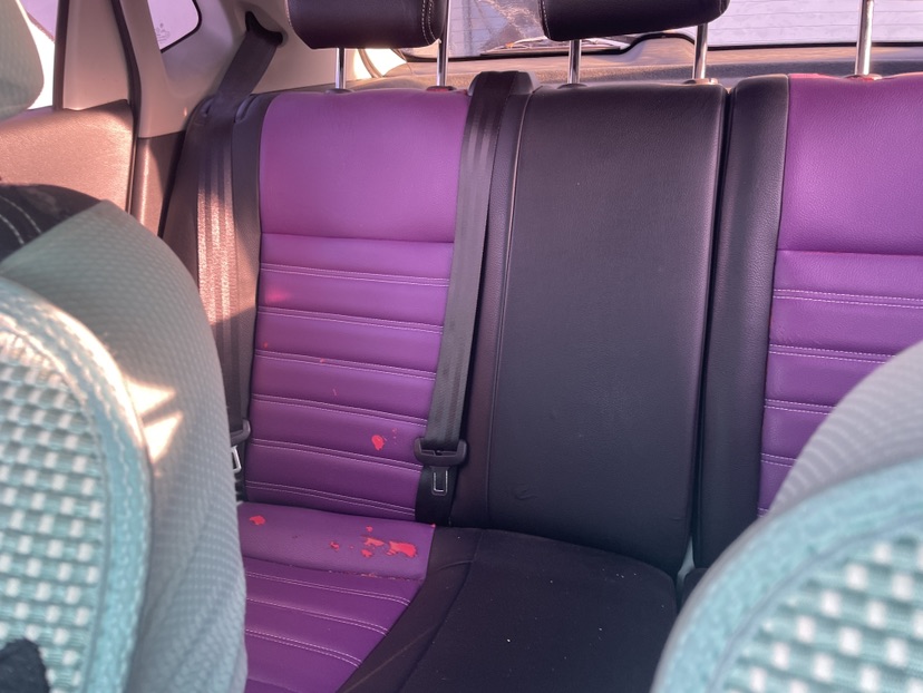 Volkswagen Polo 2016 car image #4