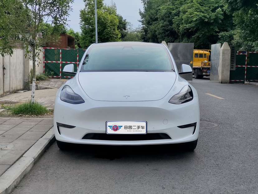 Tesla Model Y 2021 Tesla Model Y 2021 car image