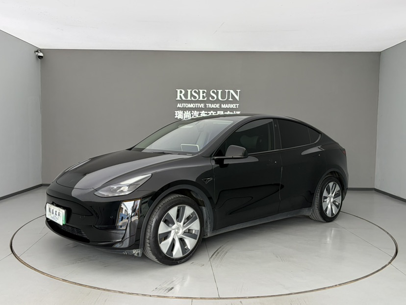 Tesla Model Y 2022 Tesla Model Y 2022 car image