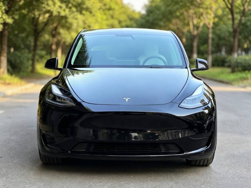 Tesla Model Y 2023 car image #2