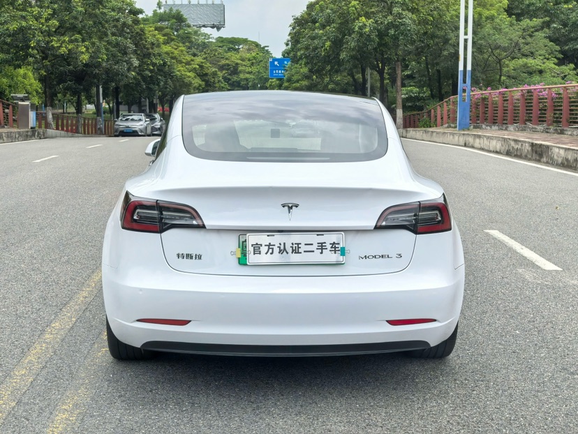 Tesla Model 3 2020 #9 Tesla Model 3 2020 car image #9
