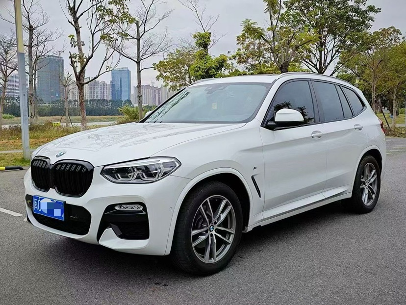 BMW X3 2019 BMW X3 2019 car image