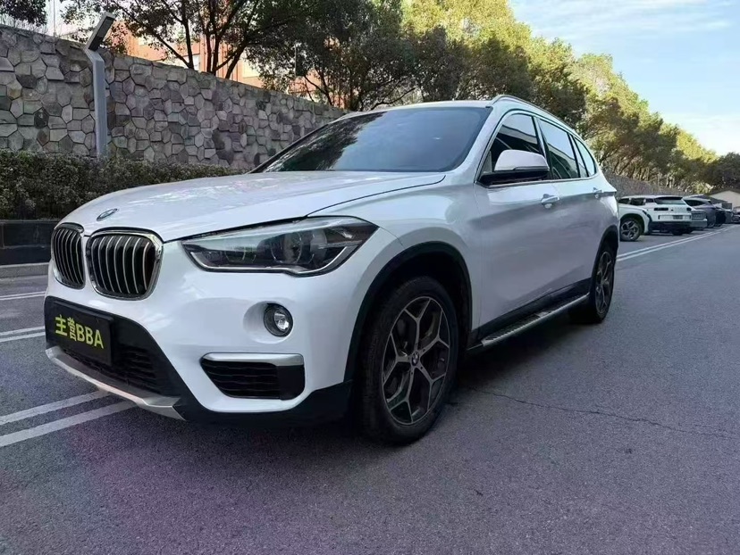 BMW X1 2019 car image 