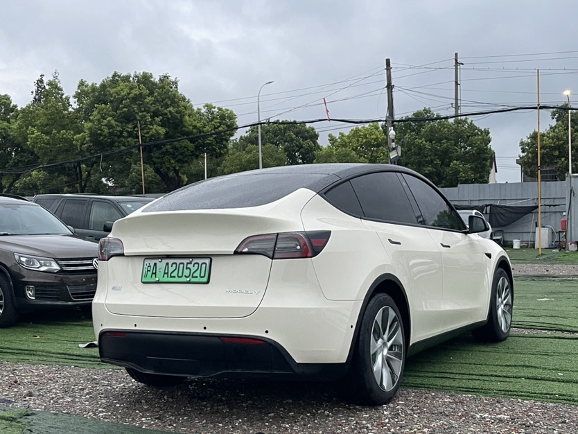 Tesla Model Y 2021 car image #7