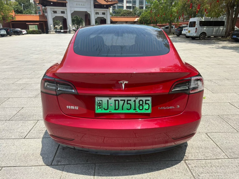 Tesla Model 3 2021 car image #8