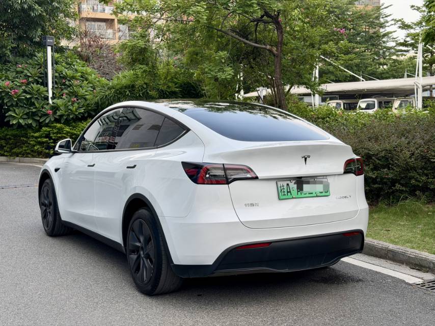 Tesla Model Y 2024 car image #4