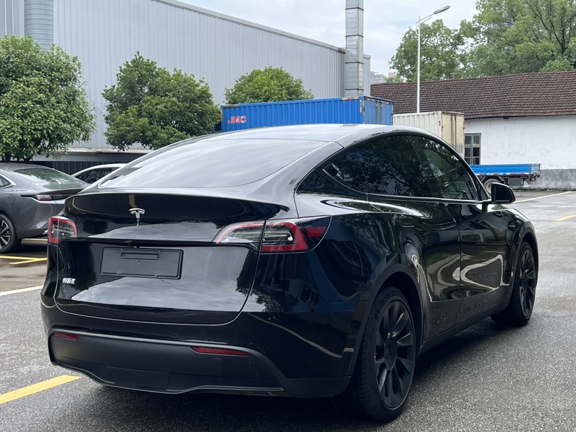 Tesla Model Y 2021 car image #9