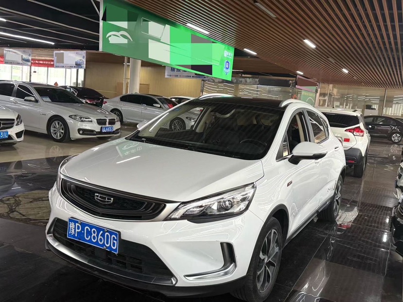 GEELY Emgrand GS 2020 car image 