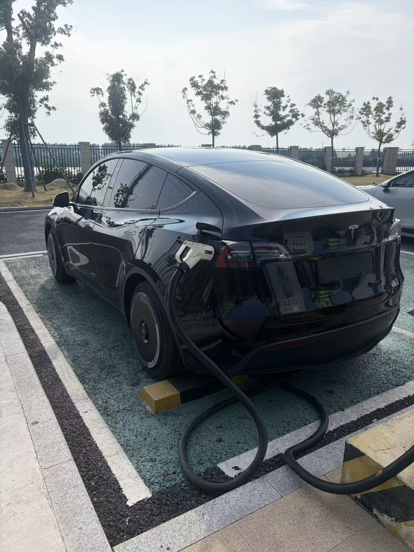 Tesla Model Y 2021 #6 Tesla Model Y 2021 car image #6