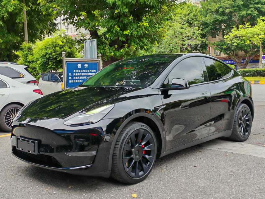 Tesla Model Y 2021 Tesla Model Y 2021 صورة سيارة