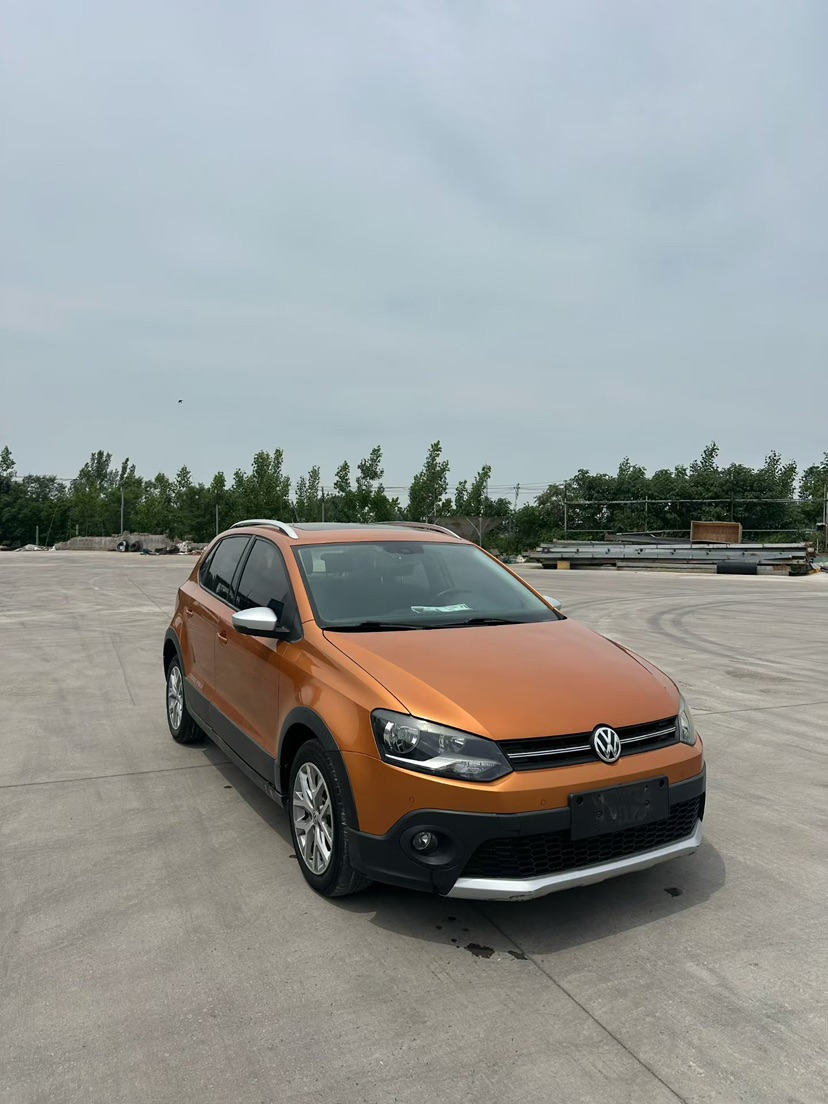 Volkswagen Polo 2015 Volkswagen Polo 2015 car image