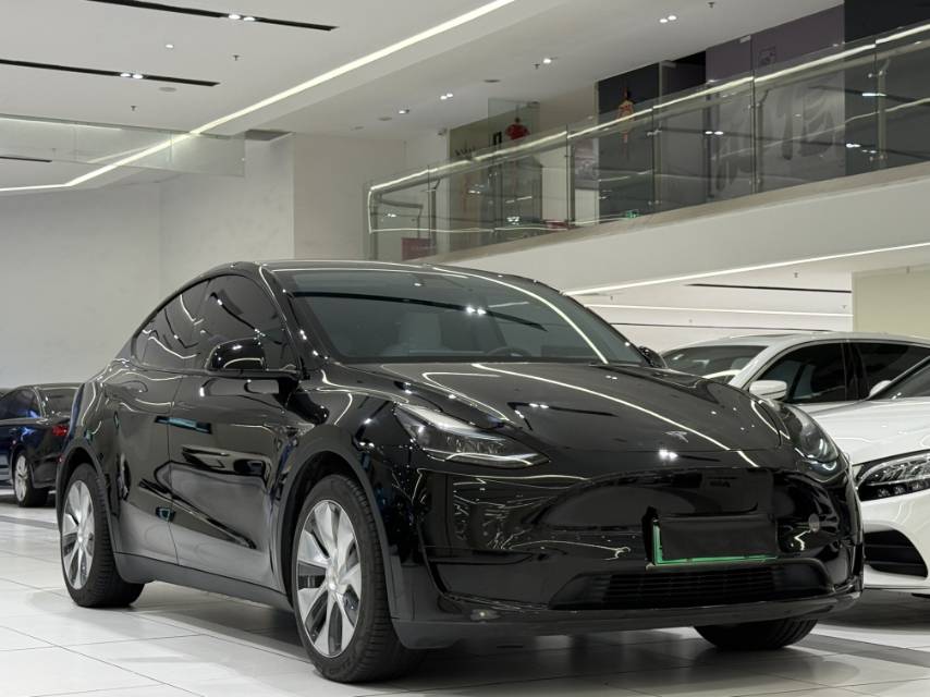 Tesla Model Y 2023 car image 