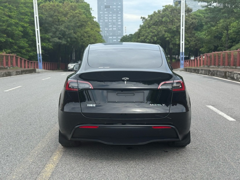 Tesla Model Y 2023 car image #8