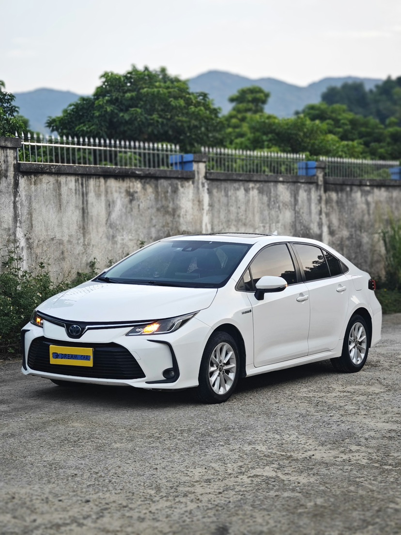 Toyota Corolla 2019 car image #3