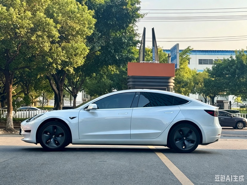 Tesla Model 3 2020 car image #6