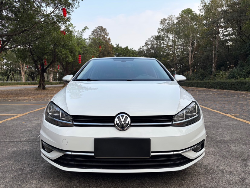 Volkswagen Golf 2019 car image #2