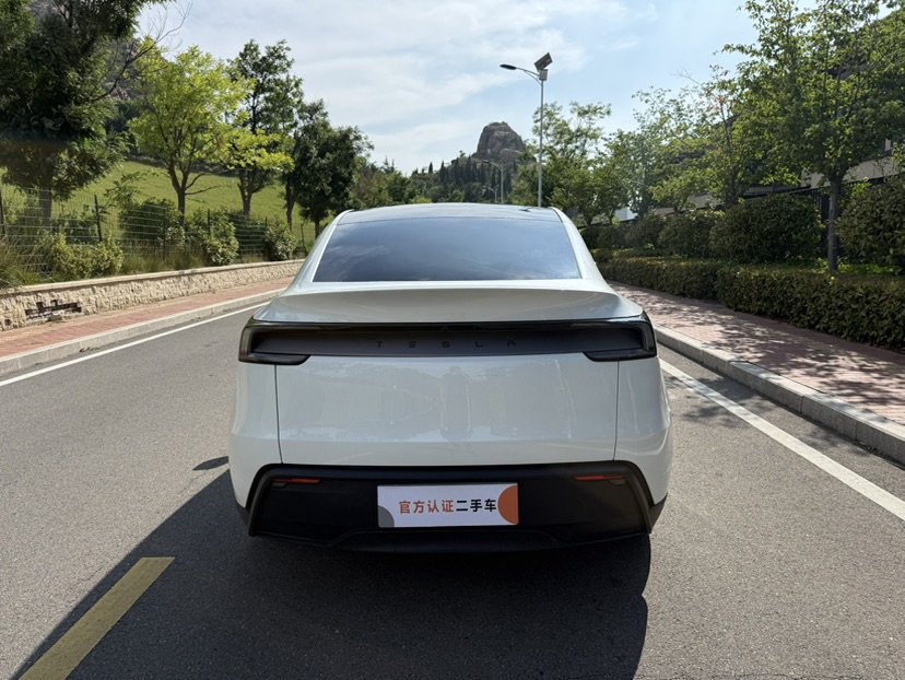 Tesla Model Y 2025 #5 Tesla Model Y 2025 immagine di auto #5