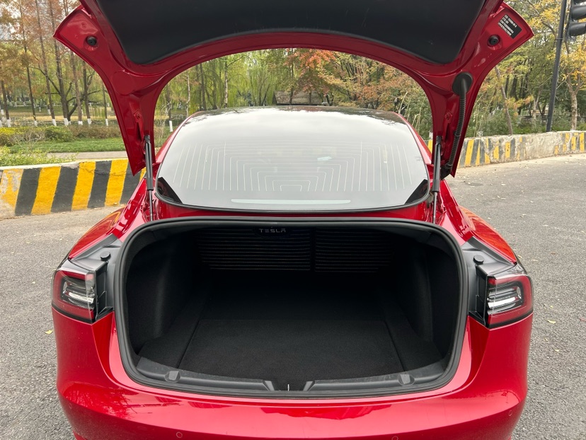 Tesla Model 3 2020 car image #9
