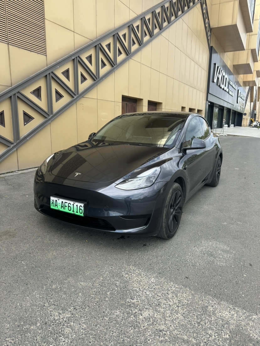 Tesla Model Y 2025 car image #3