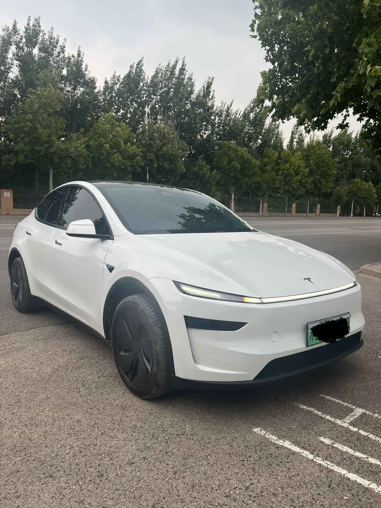 Tesla Model Y 2025 car image #2