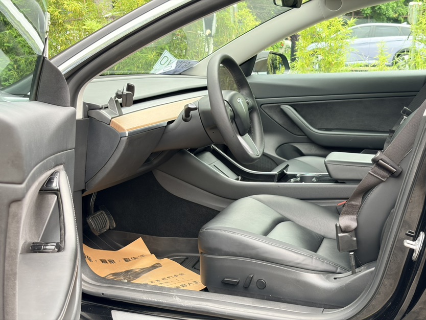 Tesla Model 3 2020 car image #6