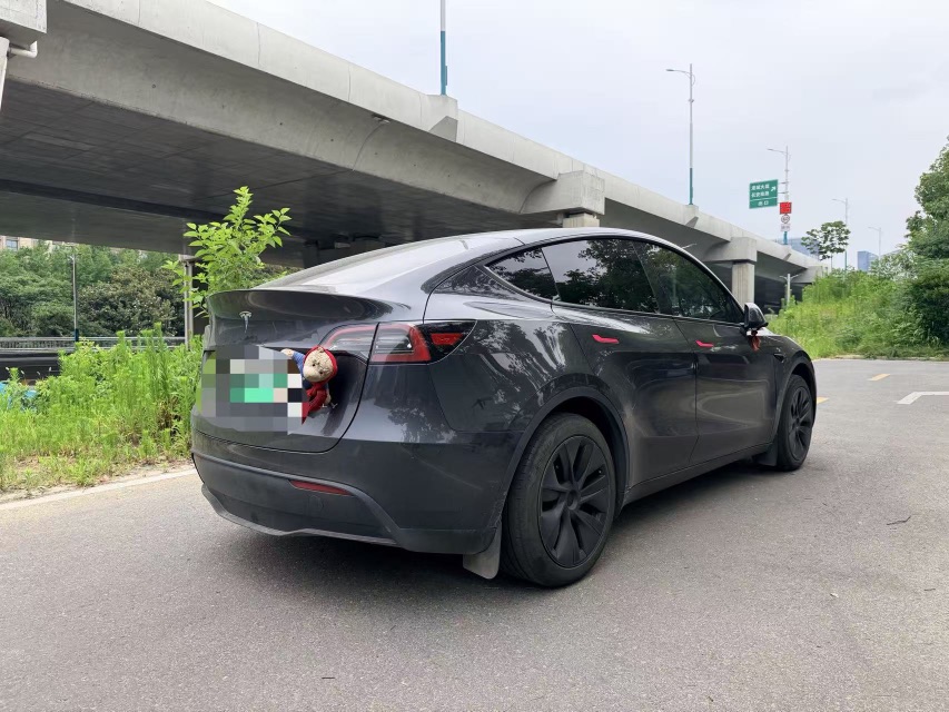 Tesla Model Y 2024 car image #6