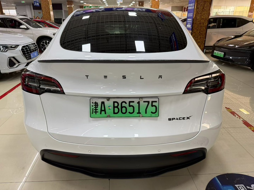 Tesla Model Y 2021 car image #8