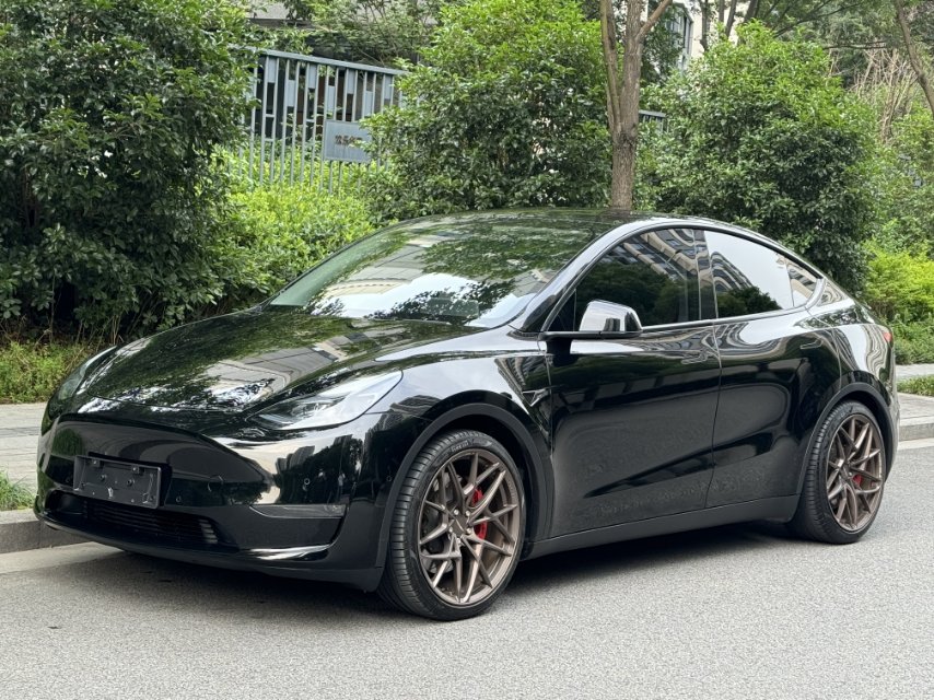 Tesla Model Y 2023 car image 