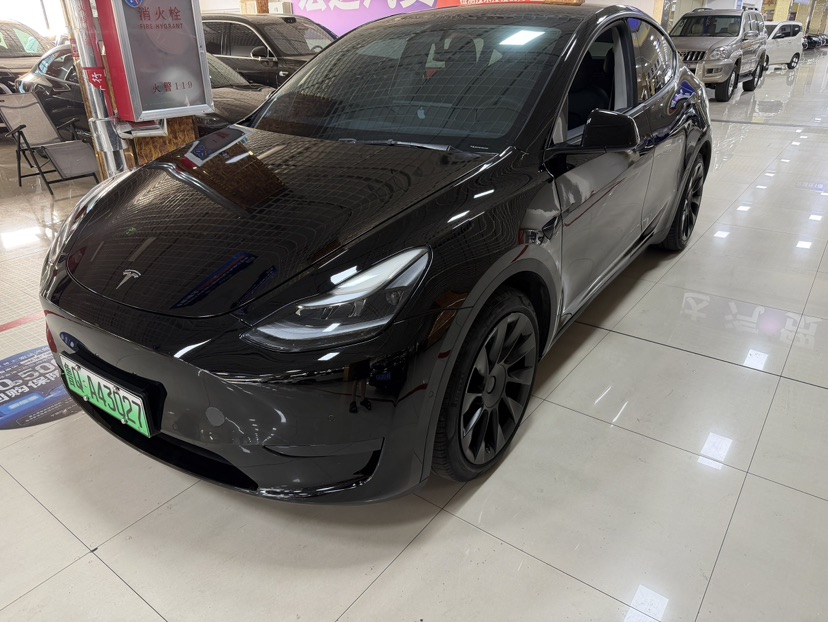 Tesla Model Y 2021 Tesla Model Y 2021 car image