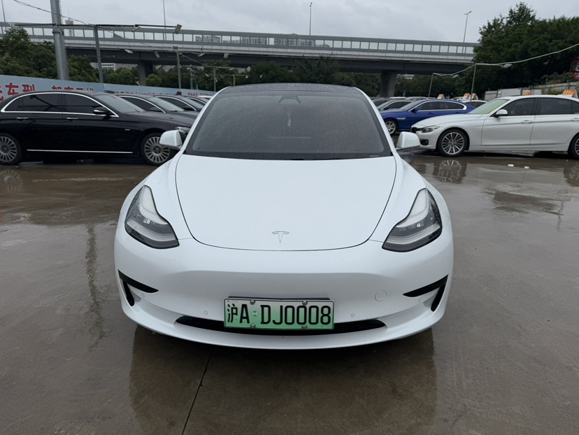 Tesla Model 3 2020 immagine di auto 