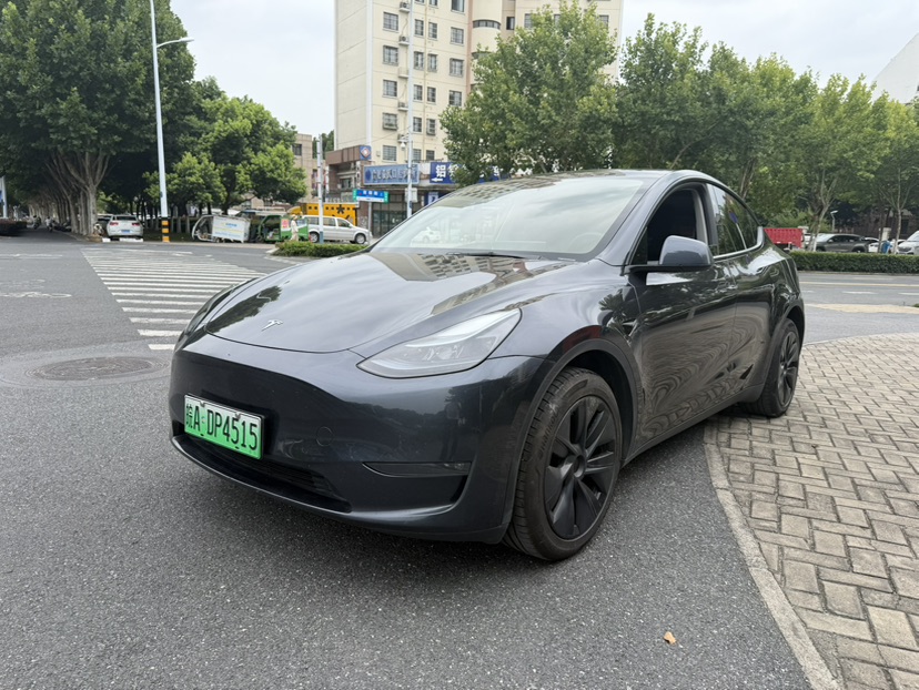 Tesla Model Y 2024 car image 