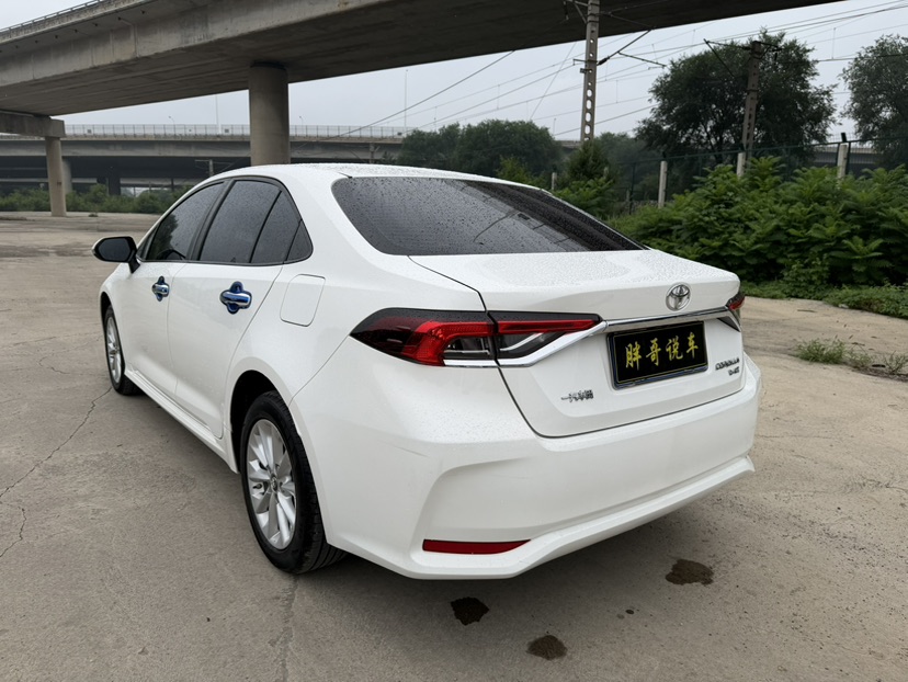 Toyota Corolla 2021 #8 Toyota Corolla 2021 car image #8