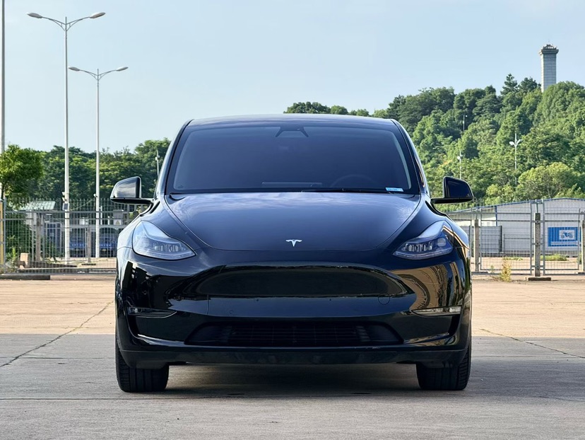 Tesla Model Y 2021 car image #2