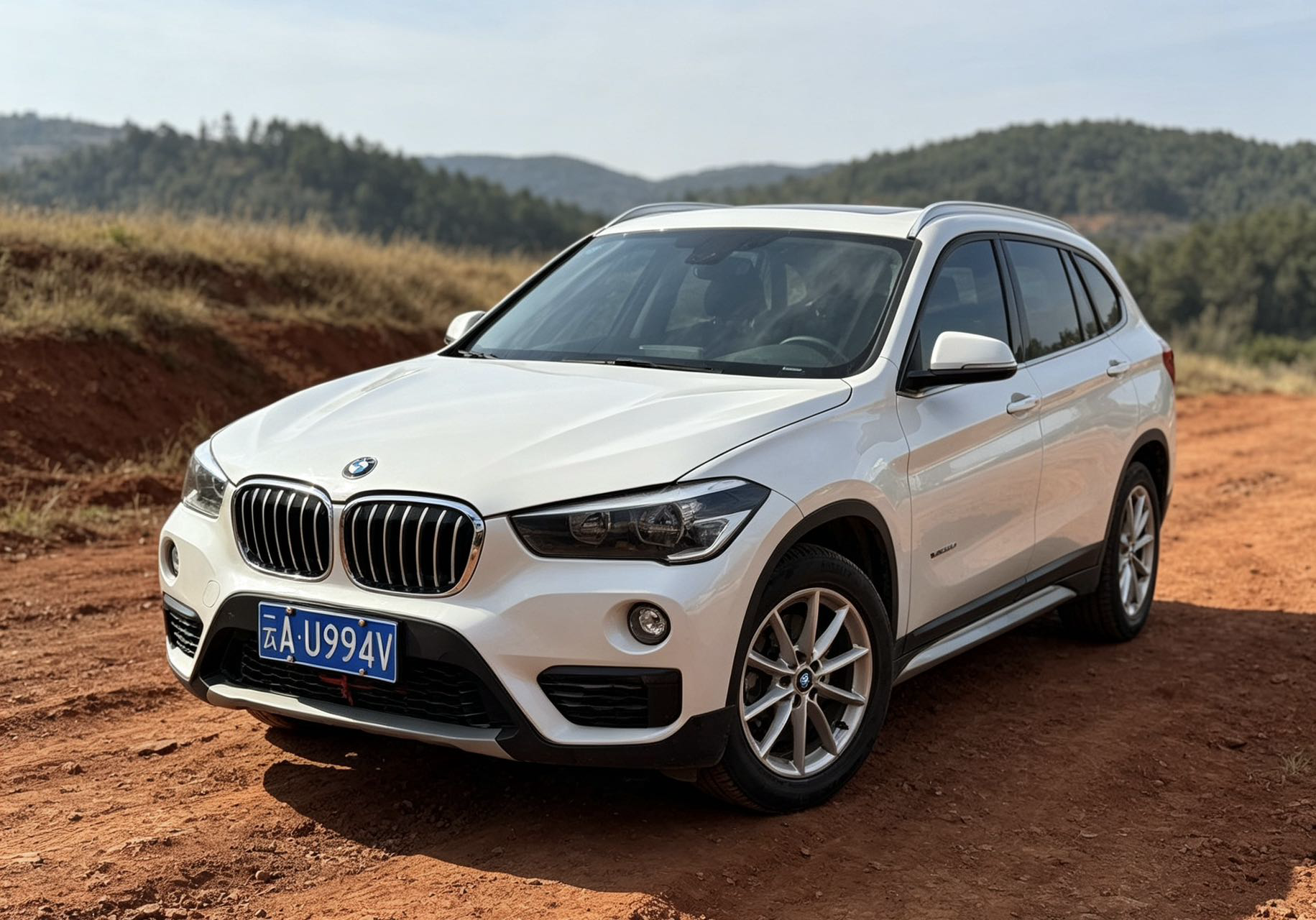 BMW X1 2017 car image 
