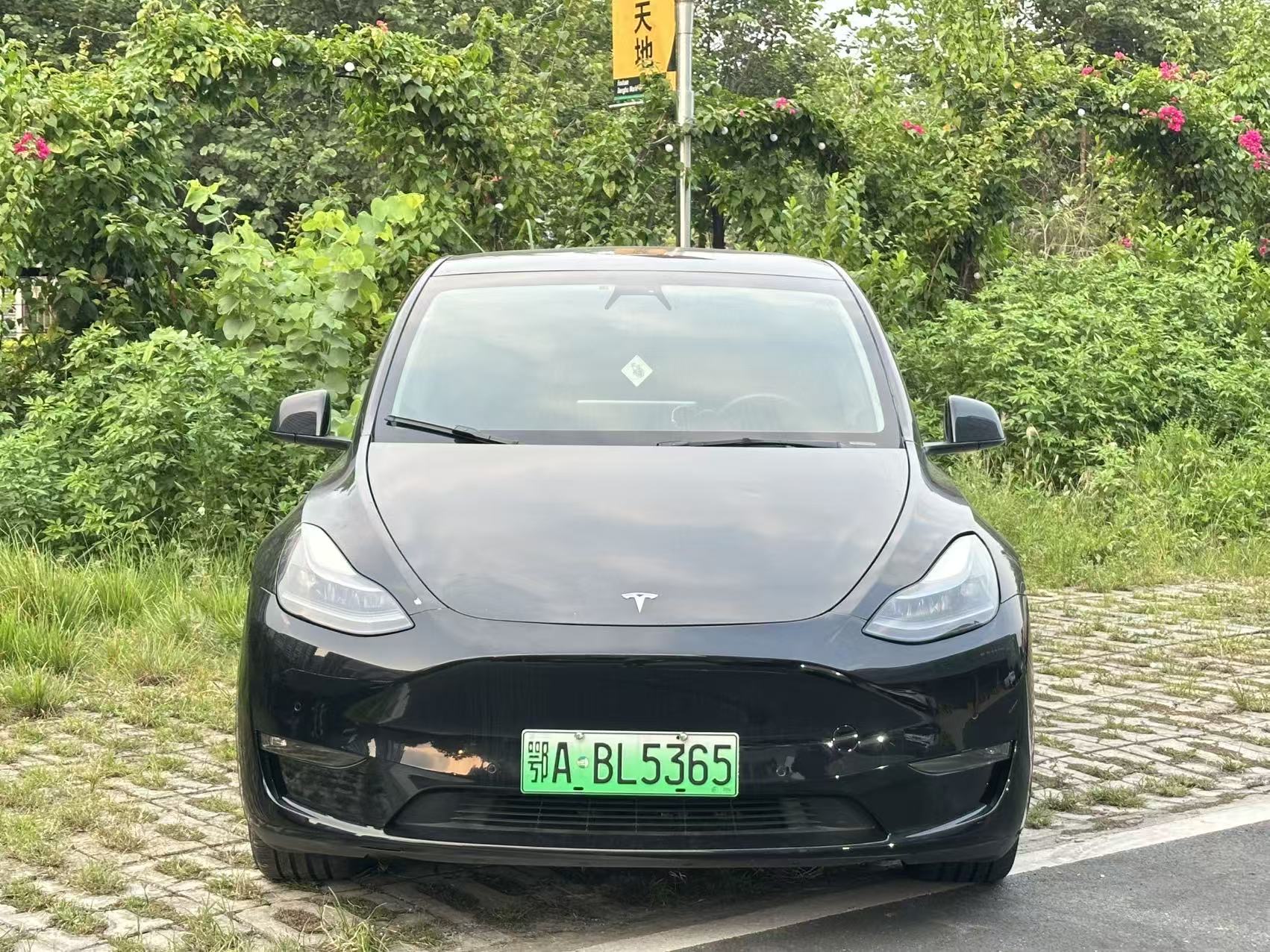 Tesla Model Y 2022 car image #2
