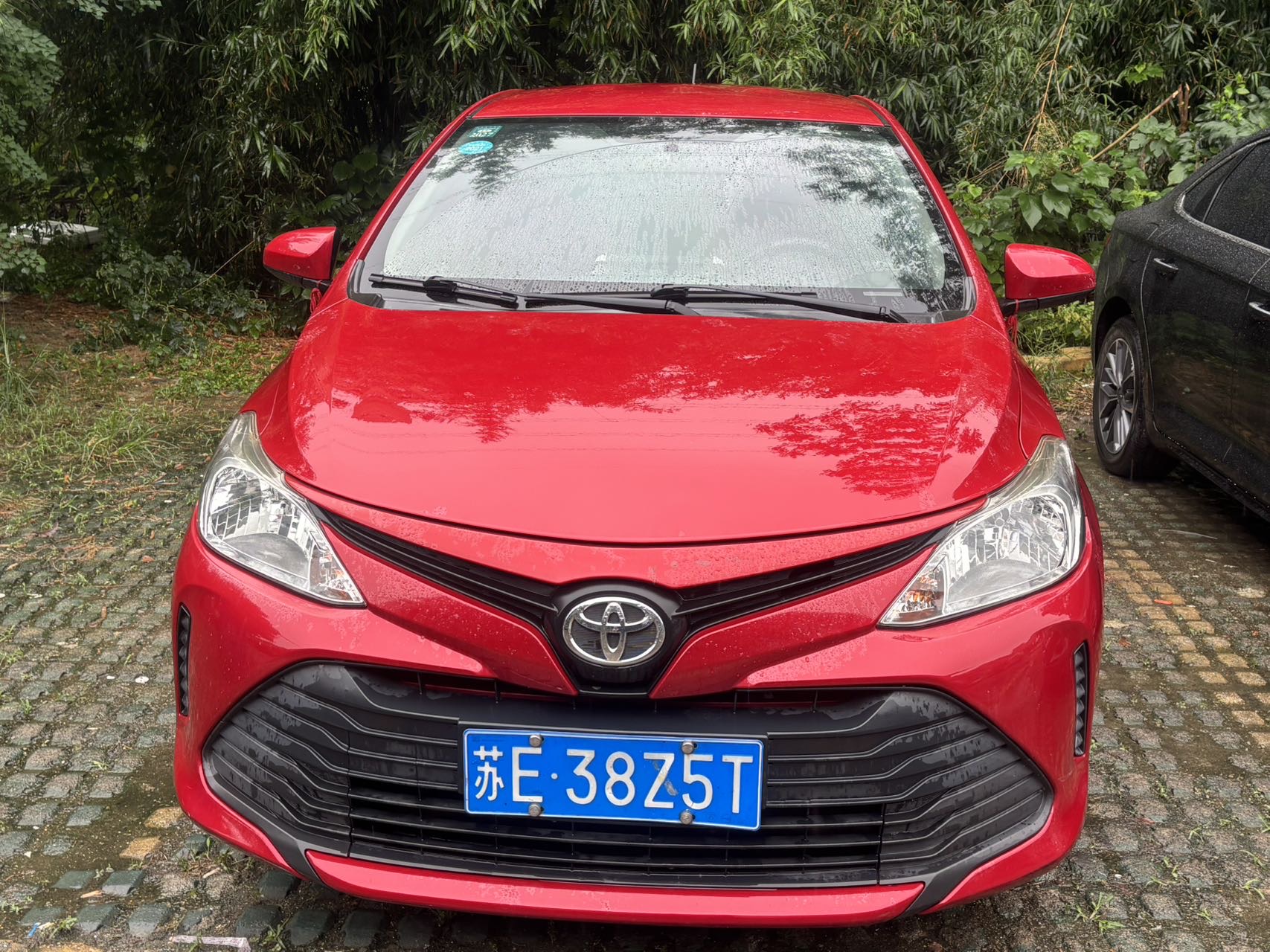 Toyota Vios 2019 car image 