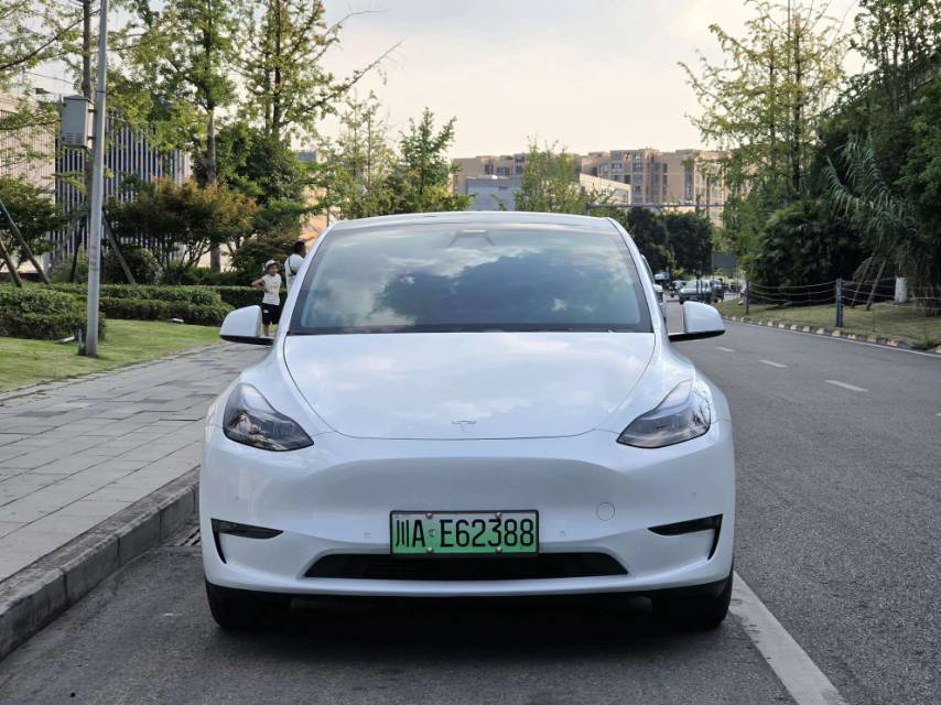 Tesla Model Y 2021 #2 Tesla Model Y 2021 car image #2