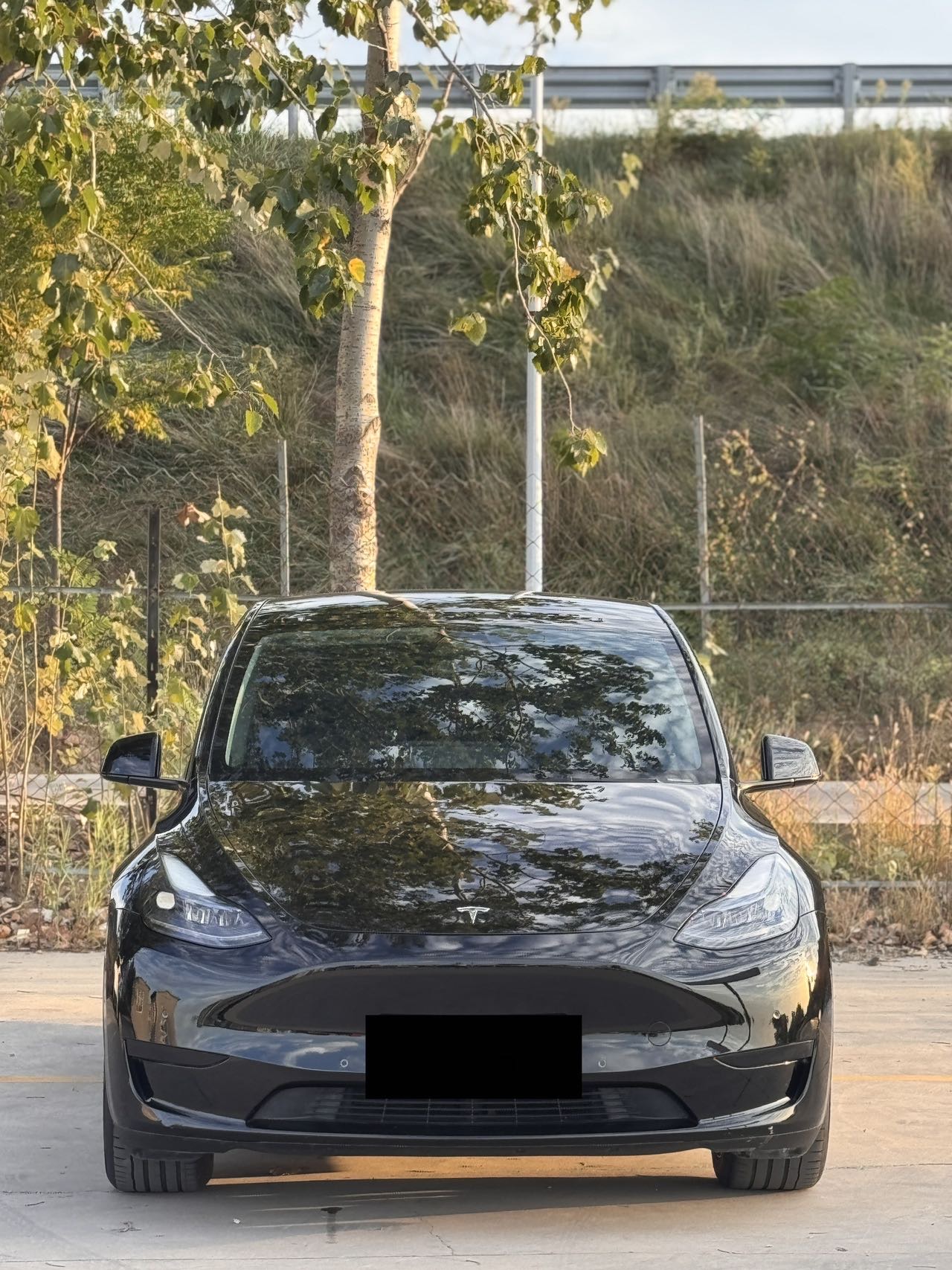 Tesla Model Y 2022 #2 Tesla Model Y 2022 car image #2