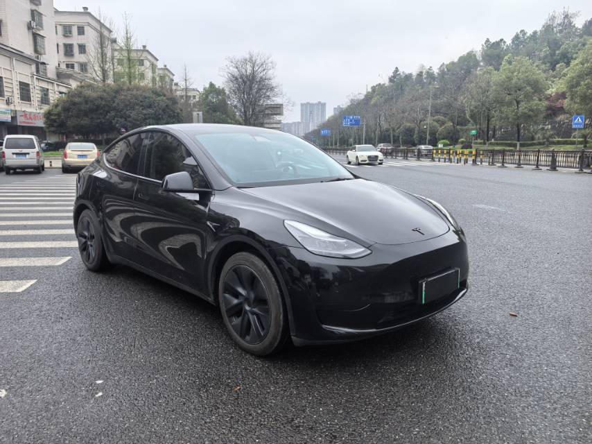 Tesla Model Y 2022 #2 Tesla Model Y 2022 car image #2