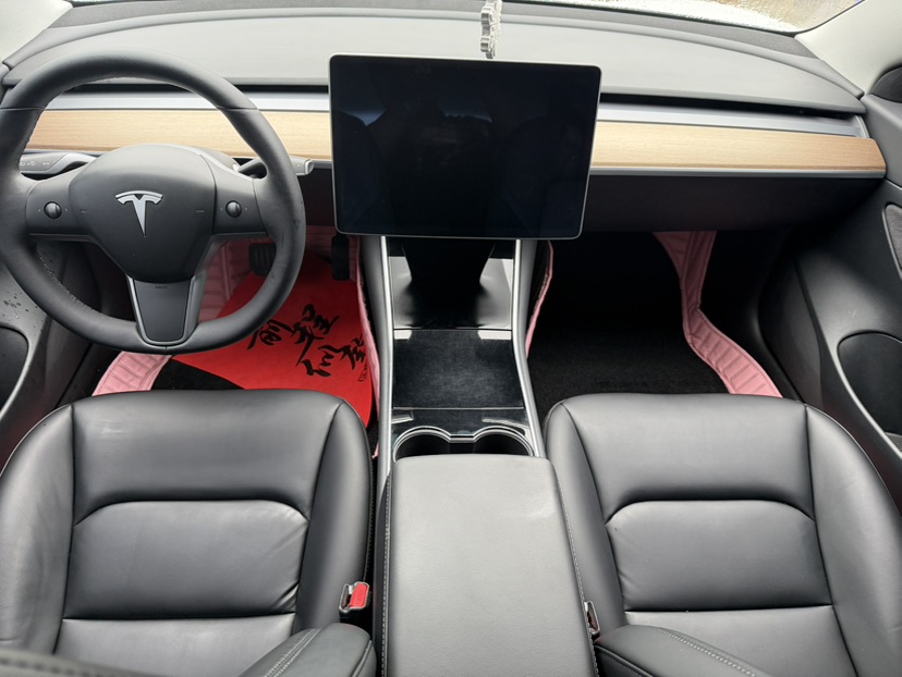 Tesla Model 3 2020 immagine di auto #7