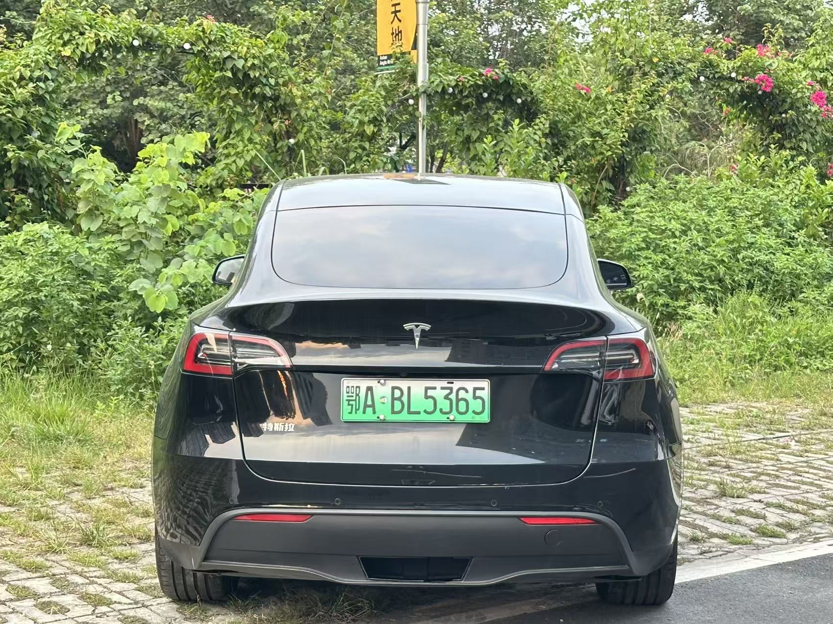 Tesla Model Y 2022 car image #9