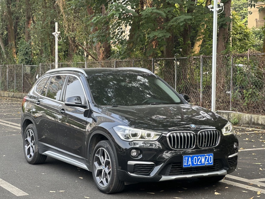 BMW X1 2019 car image #2