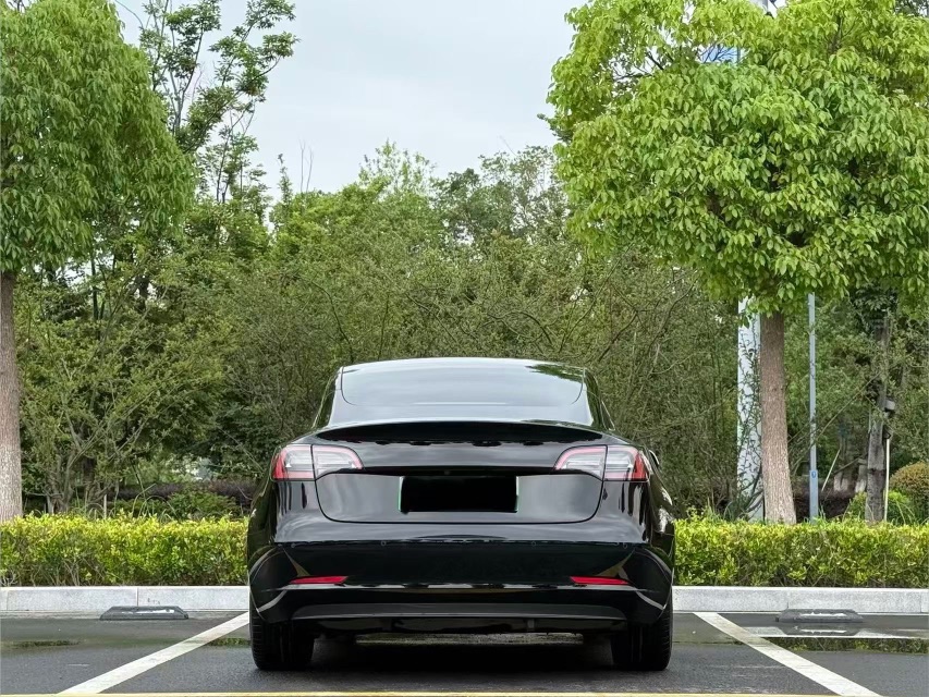 Tesla Model 3 2023 #8 Tesla Model 3 2023 immagine di auto #8
