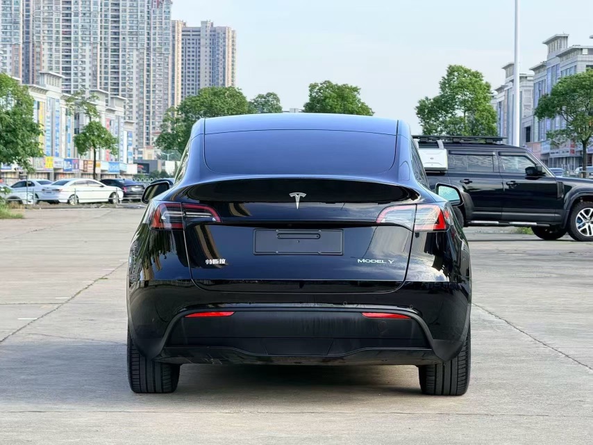 Tesla Model Y 2021 car image #8