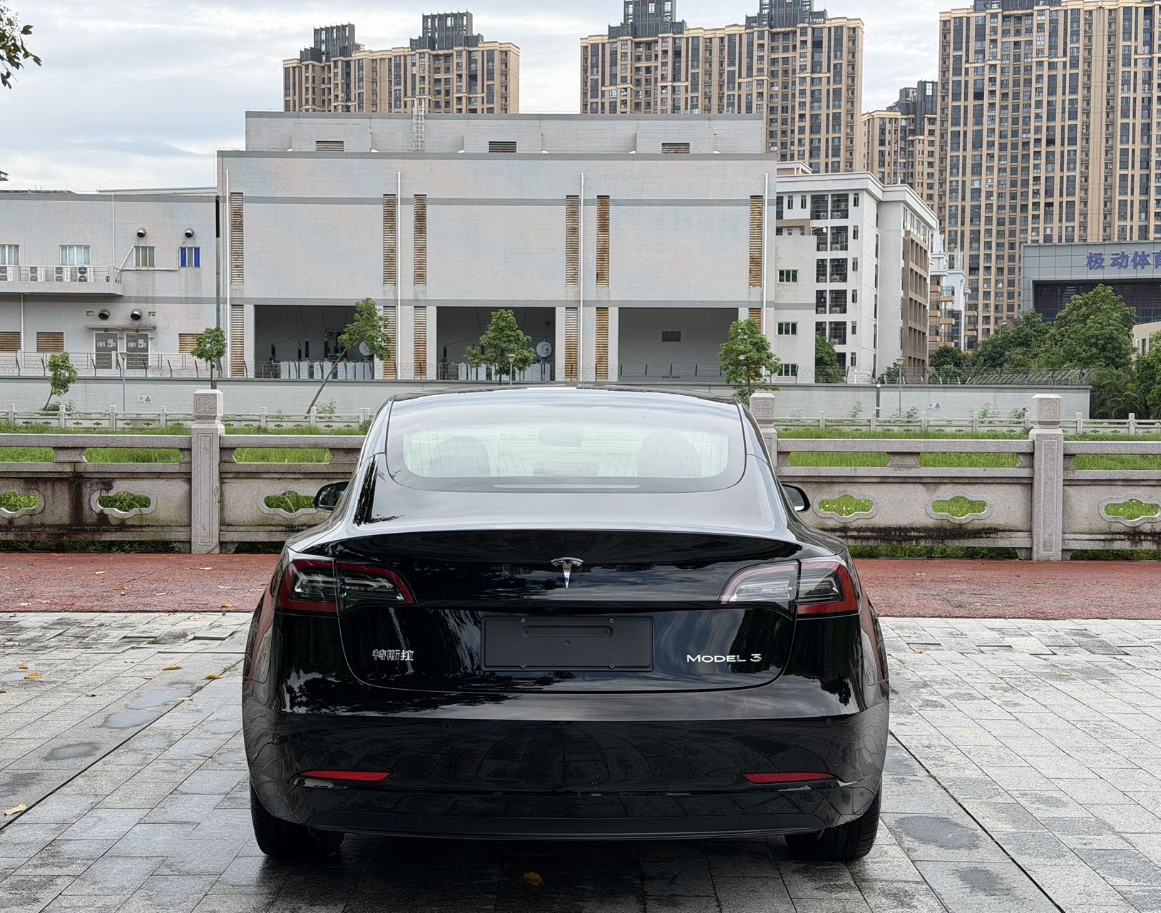 Tesla Model 3 2020 car image #8