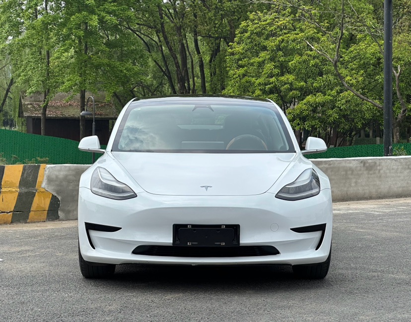 Tesla Model 3 2020 #2 Tesla Model 3 2020 car image #2
