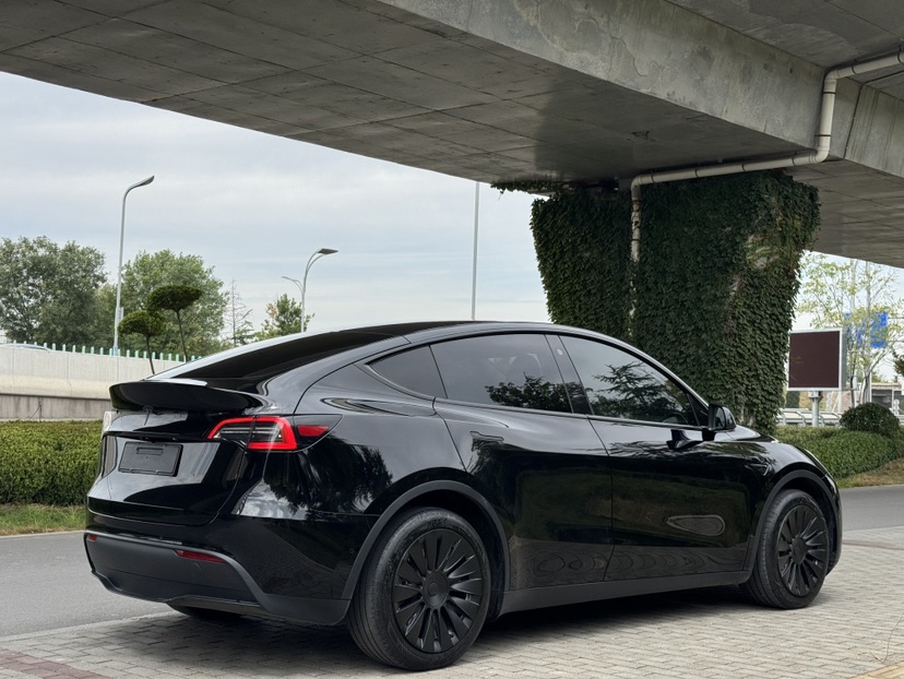 Tesla Model Y 2023 car image #3