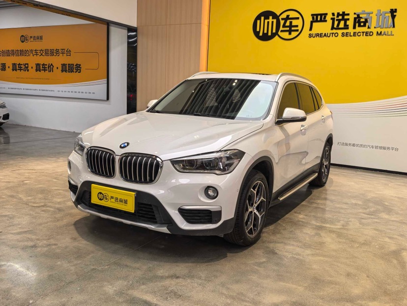 BMW X1 2019 BMW X1 2019 car image